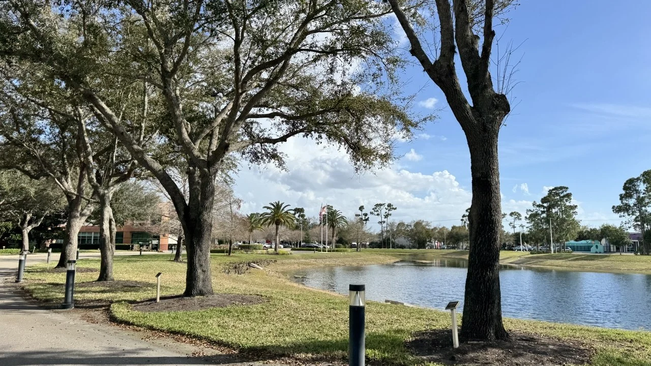 Fort Myers pond, live oak and palm landscape research