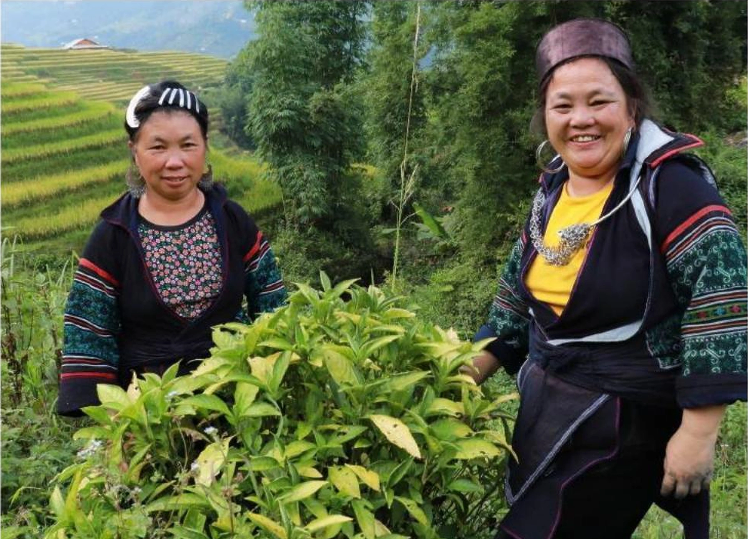 Two women in a cultivated Sapa landscape