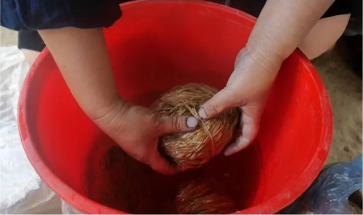 Hands washing and preparing bast fibre in a red basin