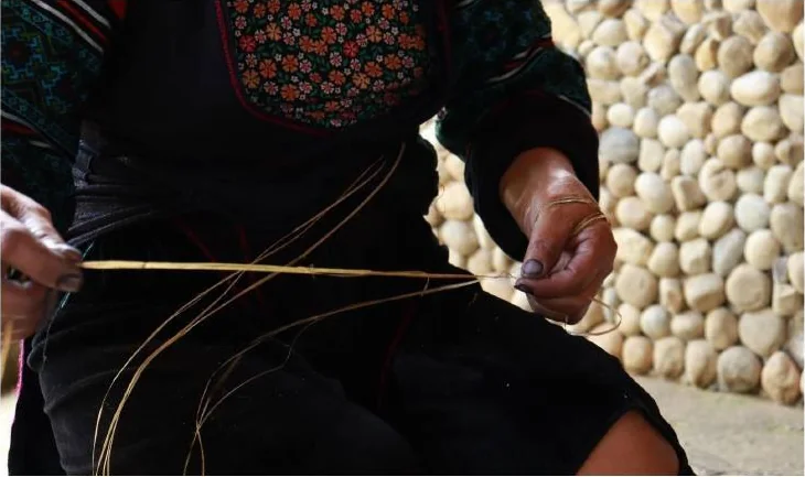 Hands separating and joining pale bast fibre