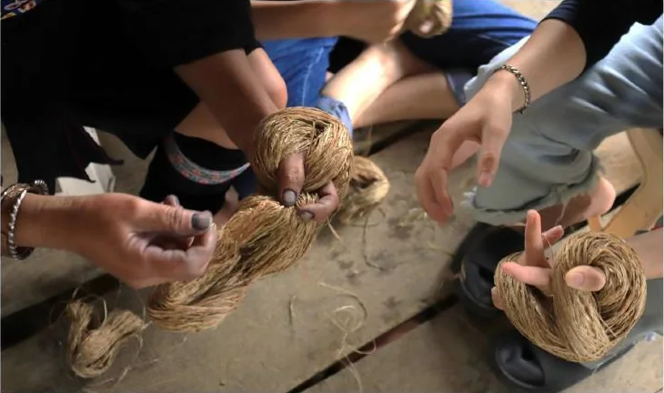 Several hands sharing and preparing loops of bast fibre