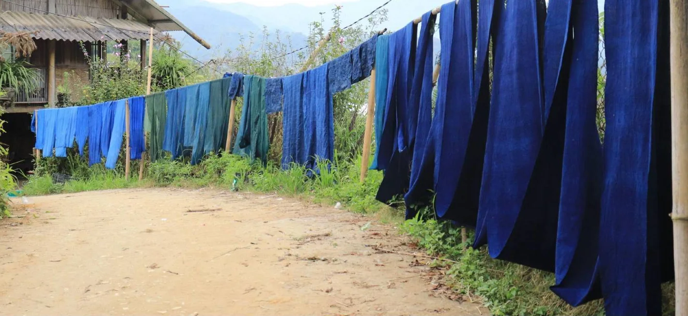 Long indigo cloth lengths drying outdoors along a village path